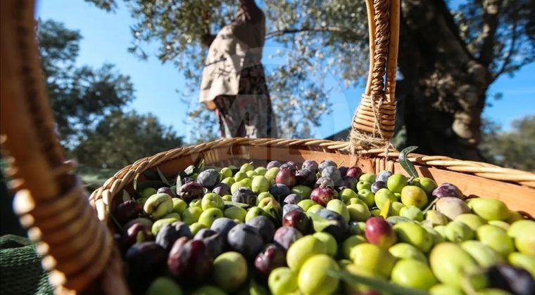 40 Yıllık Firma İflasın Eşiğinde: BAKTAT Konkordato İlan Etti