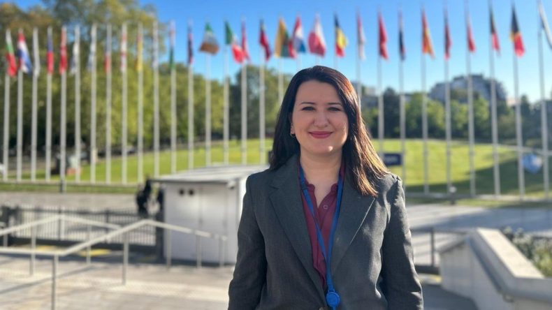 CHP'li G&ouml;k&ccedil;en, Tun&ccedil; Soyer'in Tutukluluğunu Avrupa Konseyi'ne Taşıdı