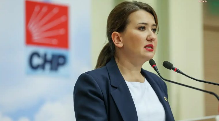 CHP'li G&ouml;k&ccedil;en&rsquo;den okul saldırılarına tepki: &Ccedil;ocuğunu okula bırakıp morgdan alan aileler var!