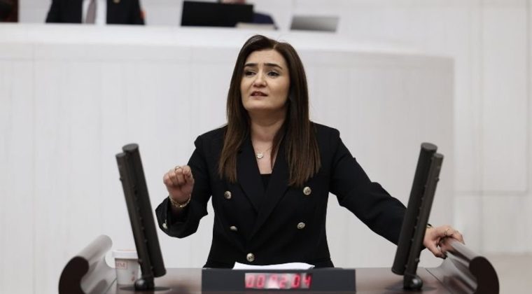 CHP'li Kılı&ccedil;'tan soru &ouml;nergesi: T&uuml;rkiye su&ccedil; baronlarının &uuml;ss&uuml; m&uuml; oluyor?