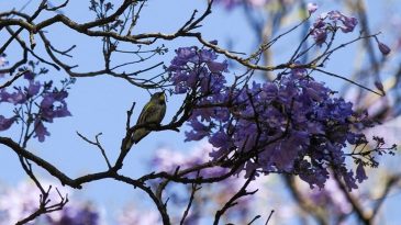 D&uuml;nya en sıcak d&ouml;rd&uuml;nc&uuml; mart ayını yaşadı