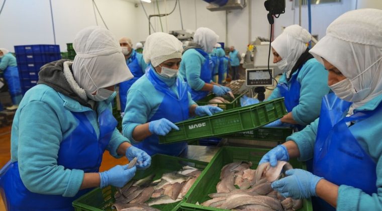 Ege&rsquo;den d&uuml;nya pazarına: Su &uuml;r&uuml;nleri ihracatı yılın ilk &ccedil;eyreğinde yaklaşık 553 milyon dolar oldu