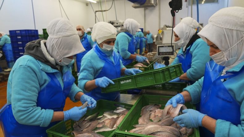 Ege&rsquo;den d&uuml;nya pazarına: Su &uuml;r&uuml;nleri ihracatı yılın ilk &ccedil;eyreğinde yaklaşık 553 milyon dolar oldu