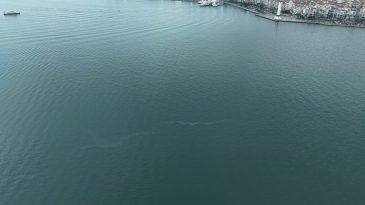 İzmir K&ouml;rfezi&rsquo;nde 13. Dış Kaynaklı Kirlilik Vakası: B&uuml;y&uuml;kşehir&rsquo;den Cezai İşlem &Ccedil;ağrısı