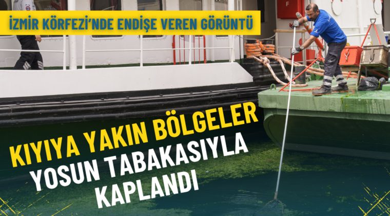 İzmir K&ouml;rfezi&rsquo;nde endişe veren g&ouml;r&uuml;nt&uuml;: Kıyıya yakın b&ouml;lgeler yosun tabakasıyla kaplandı
