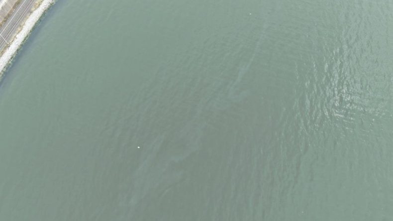 İzmir K&ouml;rfezi&rsquo;nde kirlilik alarmı: Aynı tehdit 11. kez g&ouml;r&uuml;ld&uuml;