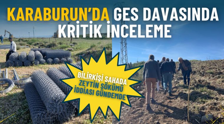 Karaburun&rsquo;da GES davasında kritik inceleme: Bilirkişi sahada, zeytin s&ouml;k&uuml;m&uuml; iddiası g&uuml;ndemde