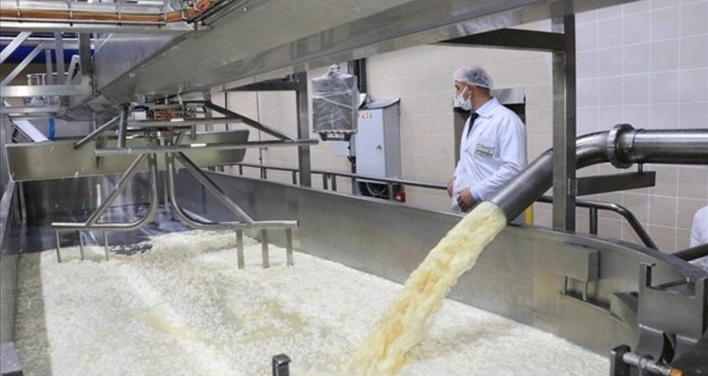 Kooperatiflerin Desteklenmesi Programı'na başvurular başladı