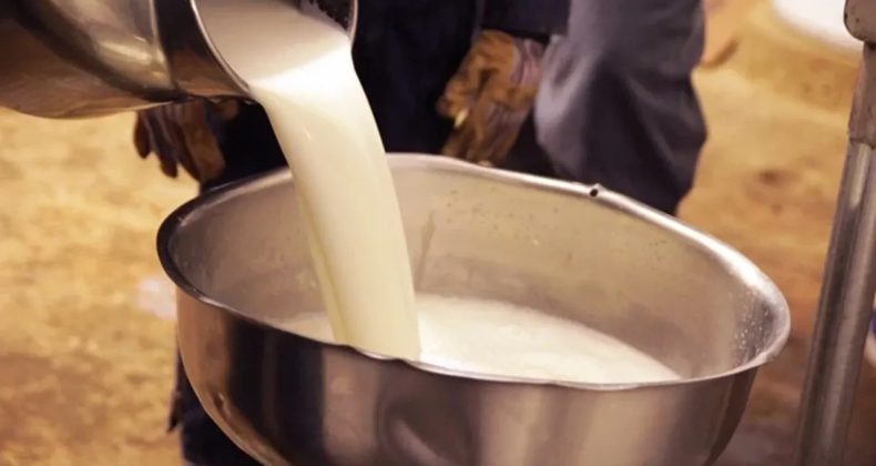 Mazot ve Yem Fiyatları Etkiledi: &Ccedil;iğ S&uuml;t Maliyeti Y&uuml;kseldi