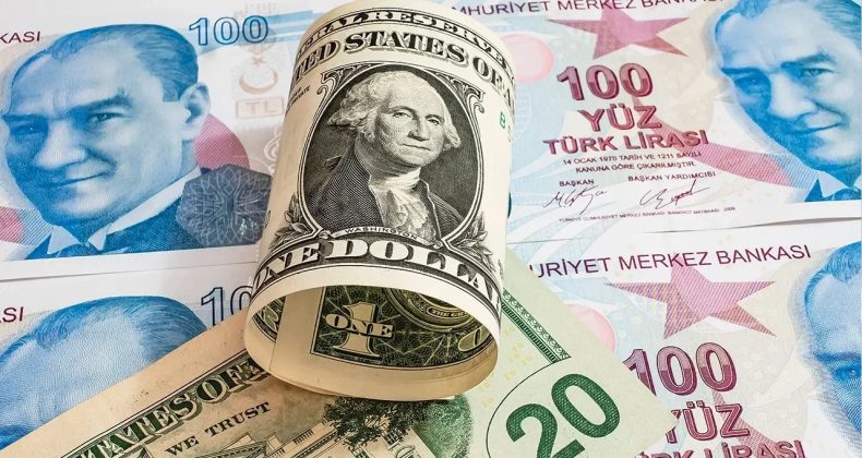 Reel Effektif Döviz Kuru Yükseldi: 14 Ayın Zirvesine Çıktı