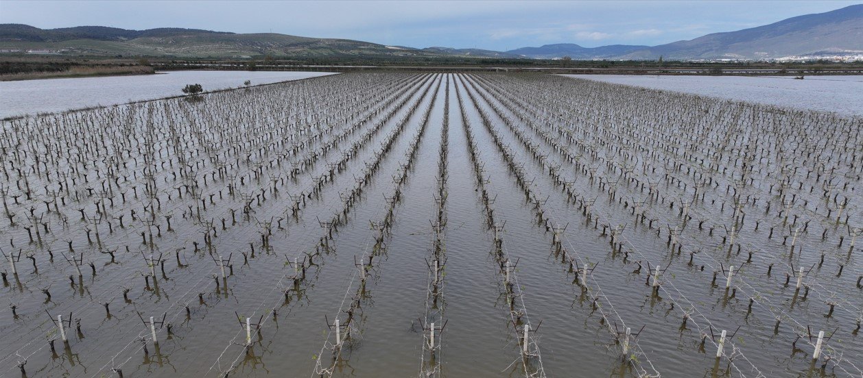 İzmir Tarım Arazileri