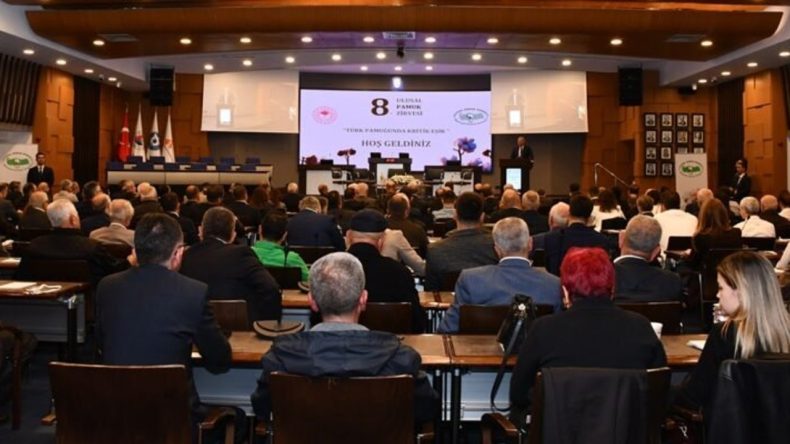 Tekstil sekt&ouml;r&uuml; 'H&uuml;rm&uuml;z gerilimi' nedeniyle sentetik yerine doğal pamuğa y&ouml;neldi